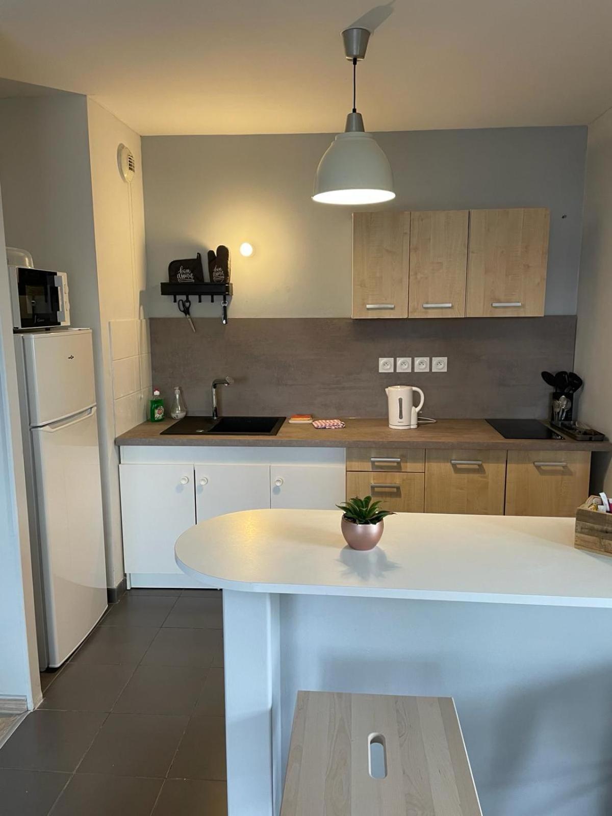 Appartement 2 Chambres Avec Terrasse Et Garage Saint-Andre-lez-Lille Eksteriør bilde